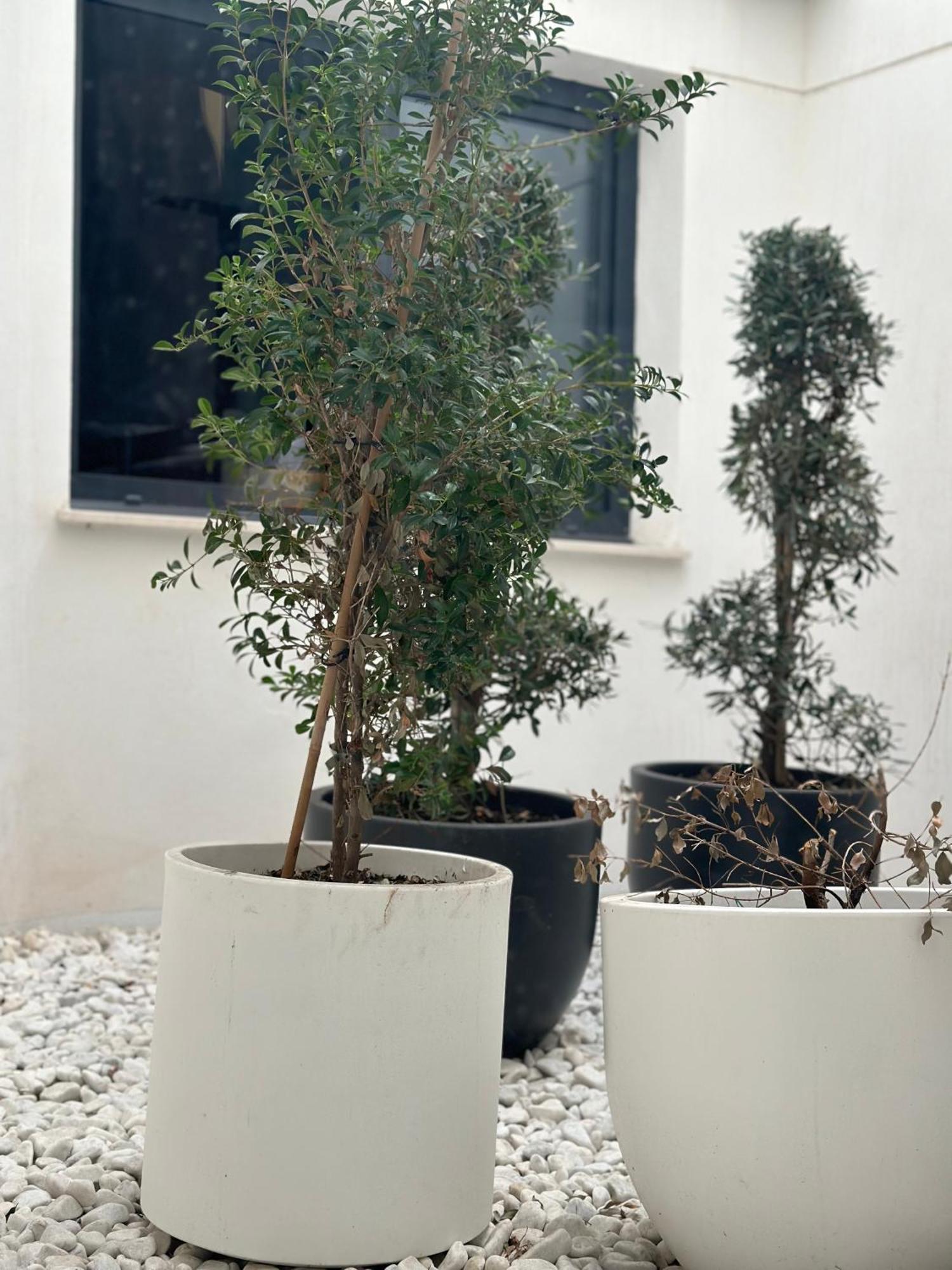 Hostel Alicante A-Cero Living Eksteriør billede