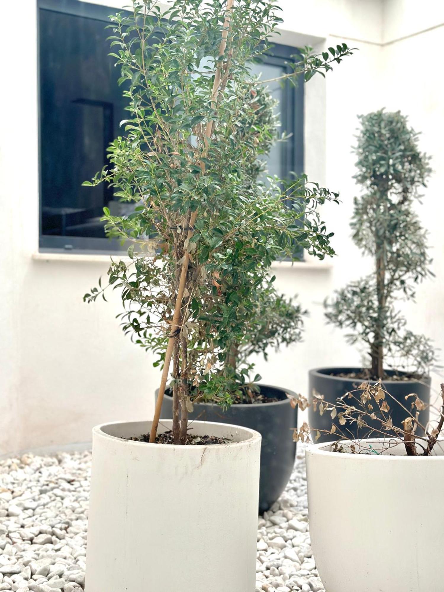 Hostel Alicante A-Cero Living Eksteriør billede